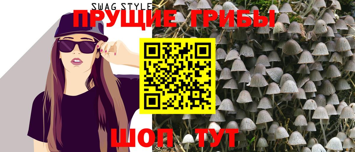 Псилоцибиновые грибы MAGIC MUSHROOMS Похвистнево
